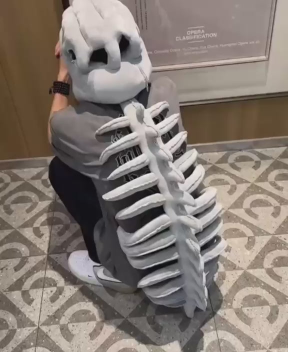 The Dinosaur Skeleton